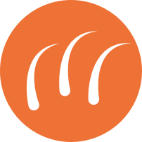 LIGHT SHEDDING logo