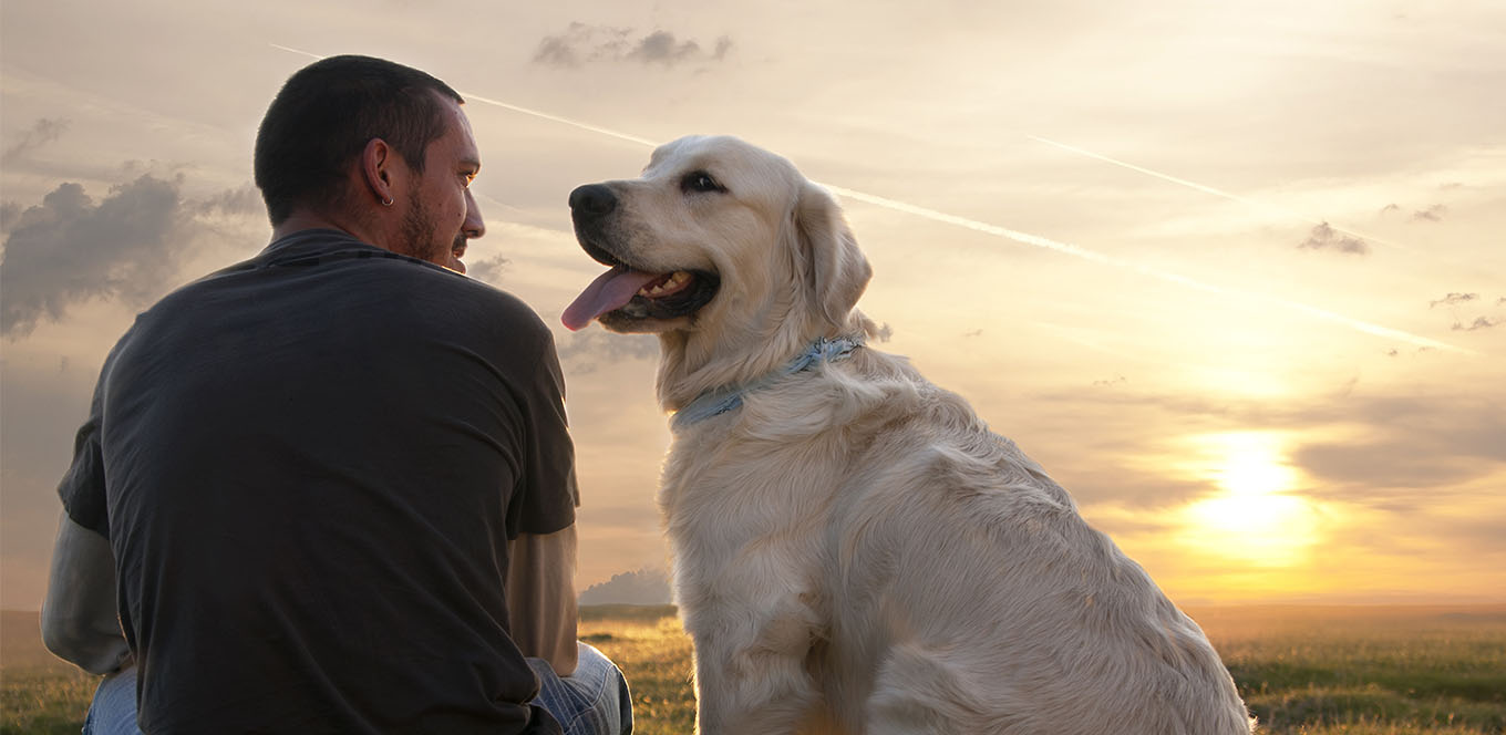 Understanding Common Dog Food Ingredients