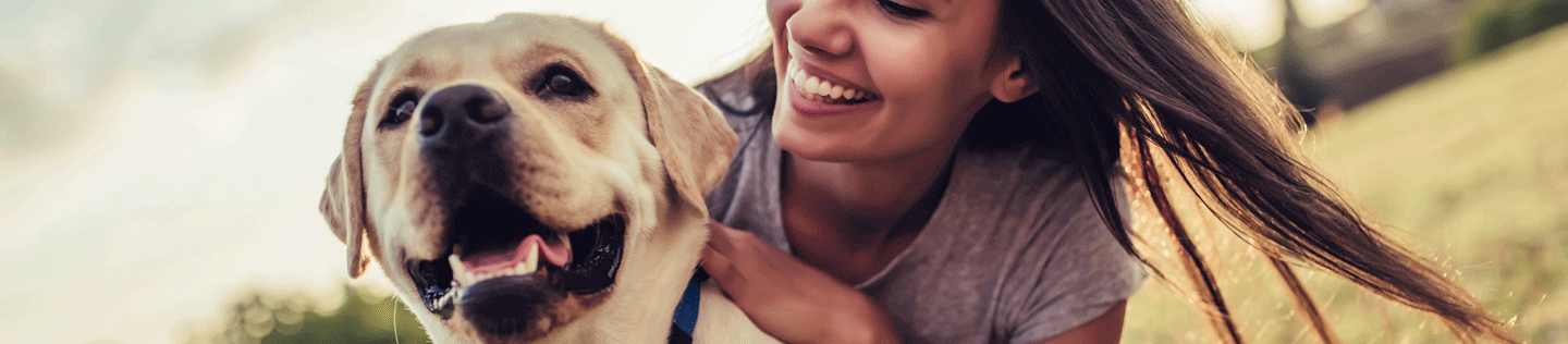 How to Handle Your Adult Dog’s Shedding