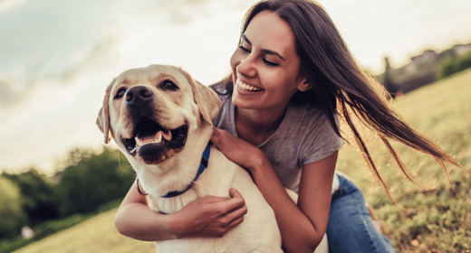 How to Handle Your Adult Dog’s Shedding