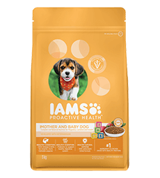 dog dry food 