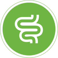 Healthy Digestion icon