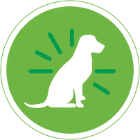Healthy Skin and Coat icon