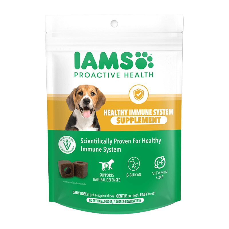 IAMS™ Proactive Health™ Suplemen untuk Sistem Imun yang Sehat