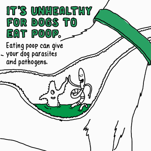 eatpoop frdog
