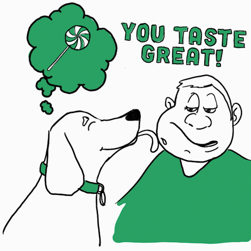 licking fr dogs
